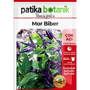 150 Adet Ata Tohumu Yerli Mor Cin Biber