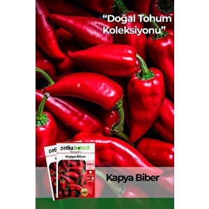 200 Adet Kapya Biber Tohumu