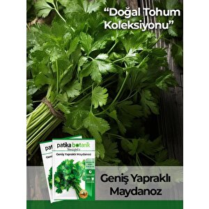 4000 Adet Ata Tohumu Yerli Geniş Yapraklı Maydonoz