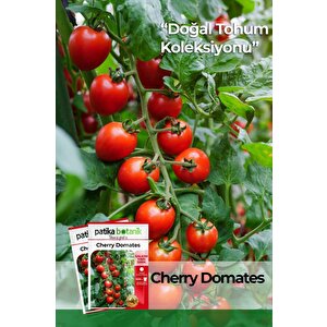 80 Adet Yerli Ata Cherry Domates Tohumu