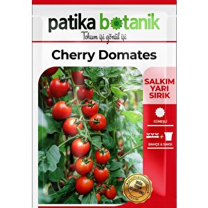 80 Adet Yerli Ata Cherry Domates Tohumu