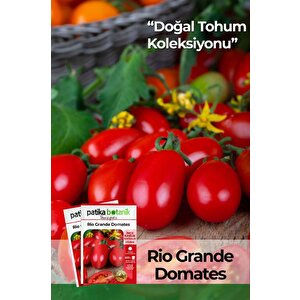 200 Adet Rio Grande (bursa, Salçalık) Domates Tohumu