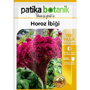Horozibiği (celosia) Çiçek Tohumu 100 Adet