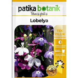 100 Adet Lobelya Çiçek Tohumu (lobeliaerinus)