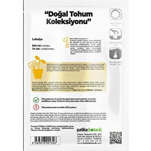 100 Adet Lobelya Çiçek Tohumu (lobeliaerinus)