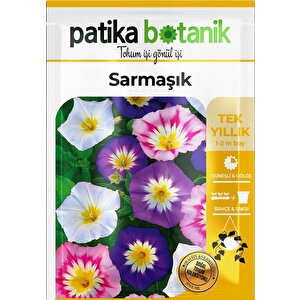100 Adet Sarmaşık/gündüz Safası Çiçek Tohumu