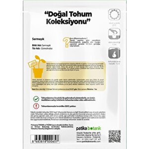 100 Adet Sarmaşık/gündüz Safası Çiçek Tohumu