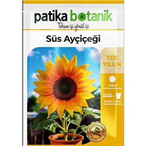 50 Adet Süs Ayçiçeği (helianthus Debilis) Çiçek Tohumu