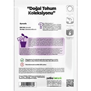 30 Adet Portakal Nergisi - Aynı Sefa Çiçek Tohumu