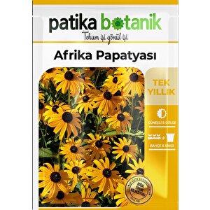 Afrika Papatyası (rudbeckia) Çiçek Tohumu 100 Adet