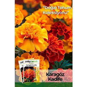 50 Adet Karagöz (tagetes L.) Çiçek Tohumu