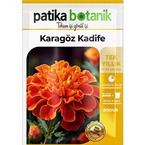 50 Adet Karagöz (tagetes L.) Çiçek Tohumu