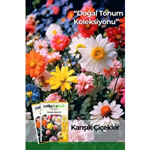 100 Adet Karışık Çiçek Tohumu