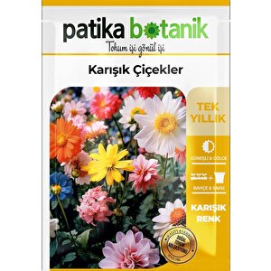 100 Adet Karışık Çiçek Tohumu