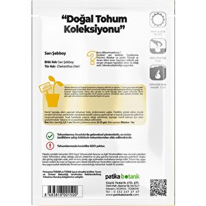 100 Adet Şebboy Sarı (cheiranthus Cheiri) Çiçek Tohumu 100 Adet
