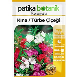 Türbe Çiçeği (ımpatiens Balsamina) Çiçek Tohumu 30 Adet