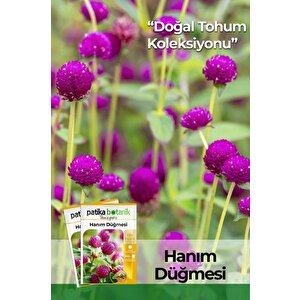 20 Adet Hanım Düğmesi Tohumu
