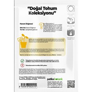 20 Adet Hanım Düğmesi Tohumu