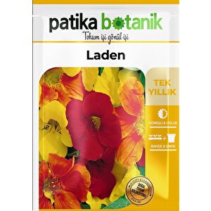6 Adet Laden (tropaeolum Majus) Çiçek Tohumu