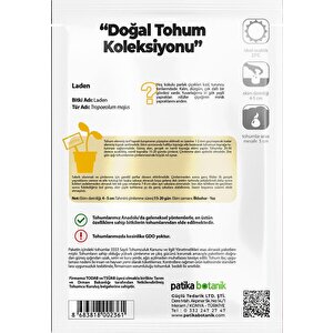 6 Adet Laden (tropaeolum Majus) Çiçek Tohumu