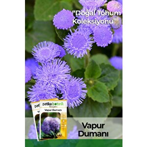 100 Adet Vapur Dumanı (ageratum Houstanianum) Çiçek Tohumu