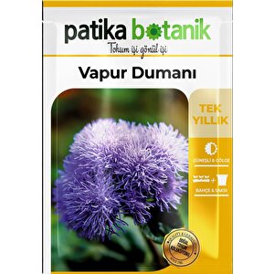 100 Adet Vapur Dumanı (ageratum Houstanianum) Çiçek Tohumu