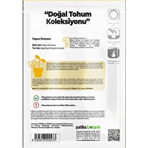 100 Adet Vapur Dumanı (ageratum Houstanianum) Çiçek Tohumu