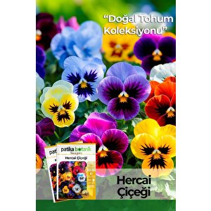 100 Adet Hercai Menekşe (viola) Çiçek Tohumu