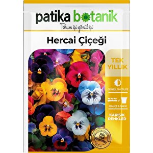 100 Adet Hercai Menekşe (viola) Çiçek Tohumu