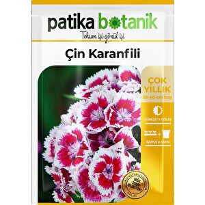 100 Adet Çin Karanfili (dianthus Chinensis) Çiçek Tohumu