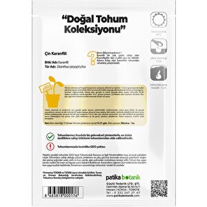 100 Adet Çin Karanfili (dianthus Chinensis) Çiçek Tohumu