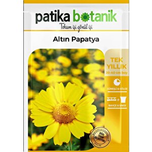 100 Adet Altın Papatya Tohumu (anthemis Tinctoria Kelwayii)
