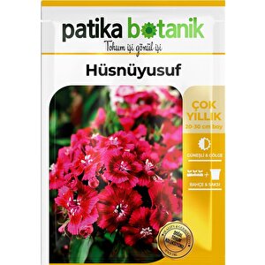 100 Adet Hüsnüyusuf (dianthus Barbatus L.) Çiçek Tohumu