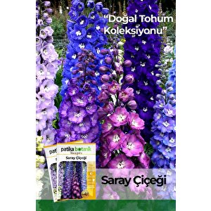 30 Adet Saray Çiçeği Tohumu