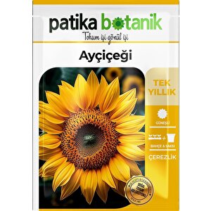75 Adet Çerezlik Ayçiçeği Tohumu
