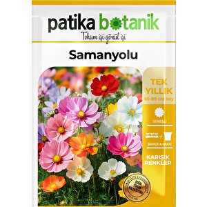 30 Adet Samanyolu (cosmos L.) Çiçek Tohumu