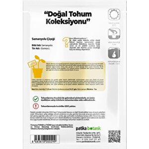 30 Adet Samanyolu (cosmos L.) Çiçek Tohumu