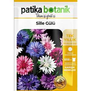 50 Adet Sille Gülü Çiçek Tohumu