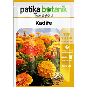 50 Adet Bodur Kadife Çiçek Tohumu (tagetes L.)