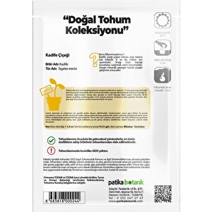 50 Adet Bodur Kadife Çiçek Tohumu (tagetes L.)