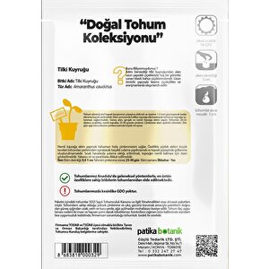 100 Adet Tilki Kuyruğu (amaranthus Caudatus) Çiçek Tohumu