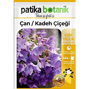 100 Adet Çan Kadeh (campanula L.) Çiçek Tohumu