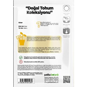 50 Adet Aster Çiçeği Tohumu