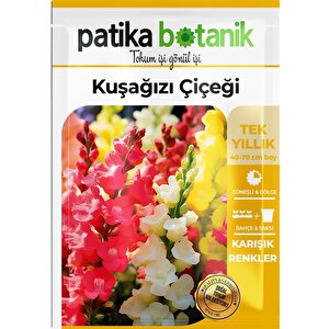100 Adet Kuşağzı (aslanağzı) (antirrhinum Majus) Çiçek Tohumu