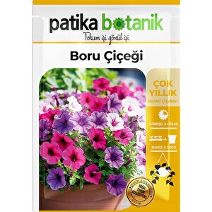100 Adet Boru (petunya) (petunia) Çiçek Tohumu