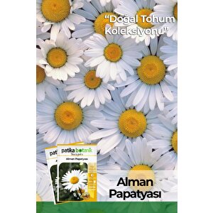 100 Adet Alman Papatya Tohumu