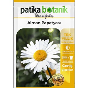 100 Adet Alman Papatya Tohumu