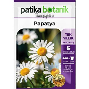100 Adet Tıbbi Aromatik Papatya Tohumu
