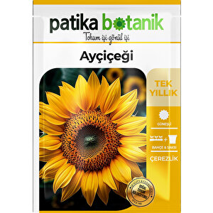 75 Adet Çerezlik Ayçiçeği Tohumu