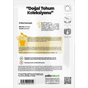 30 Adet İri Mavi Sarmaşık  Çiçek Tohumu
